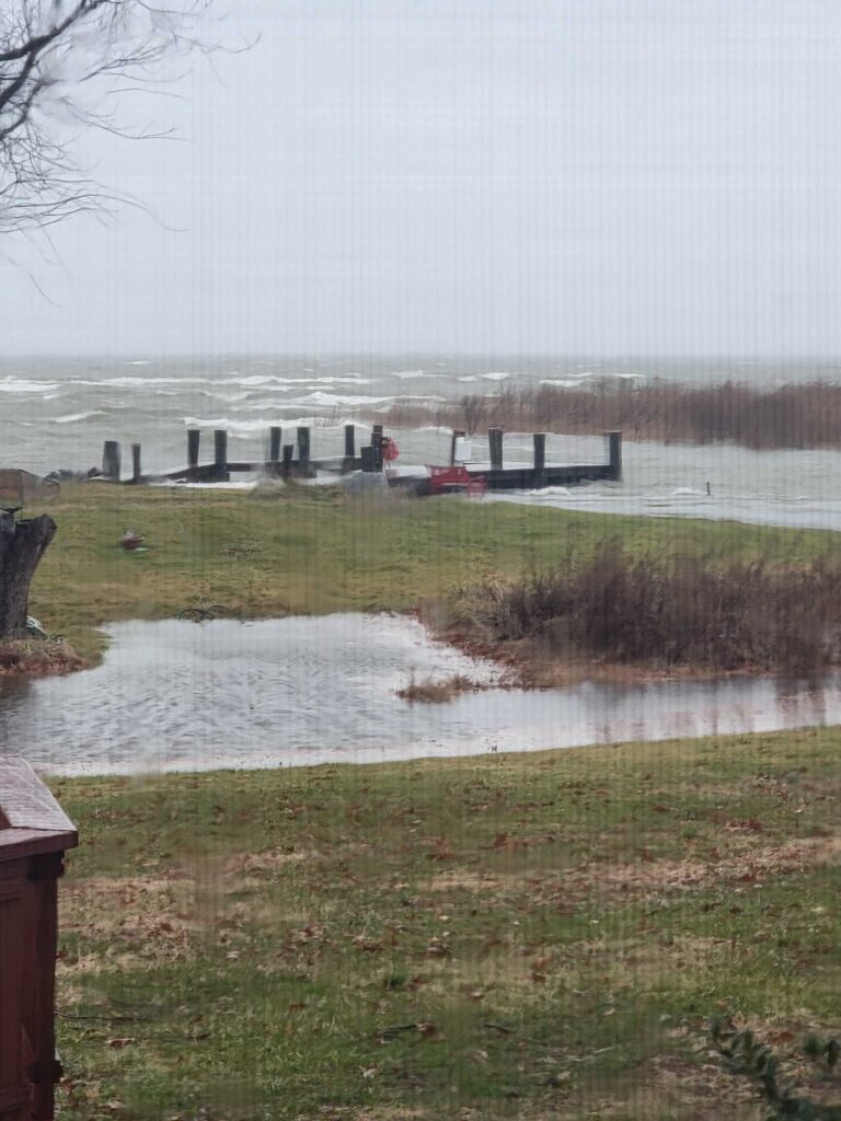 a body of water with grass and a dock and a boat in it (MyCoast AI)