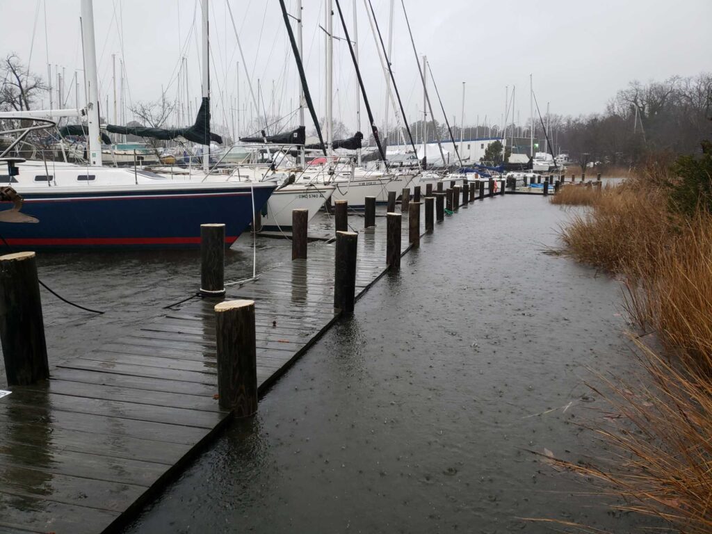 boats docked at a pier (MyCoast AI)