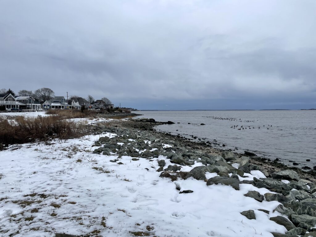 a rocky beach with snow (MyCoast AI)