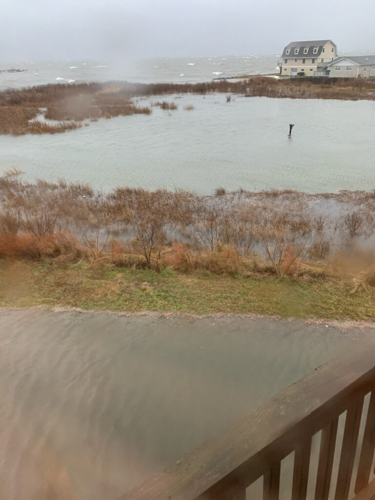 a body of water with grass and trees around it (MyCoast AI)