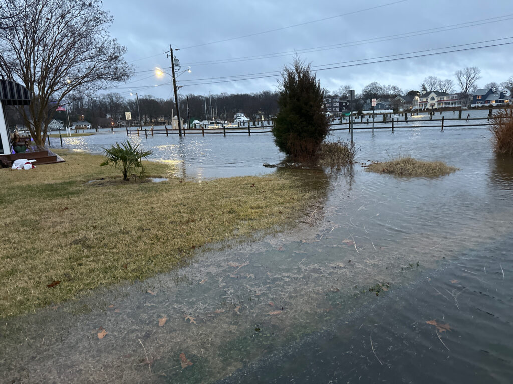 a flooded area with grass and trees (MyCoast AI)