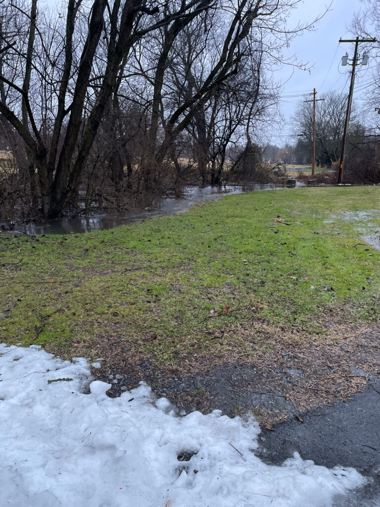 a stream with grass and trees (MyCoast AI)