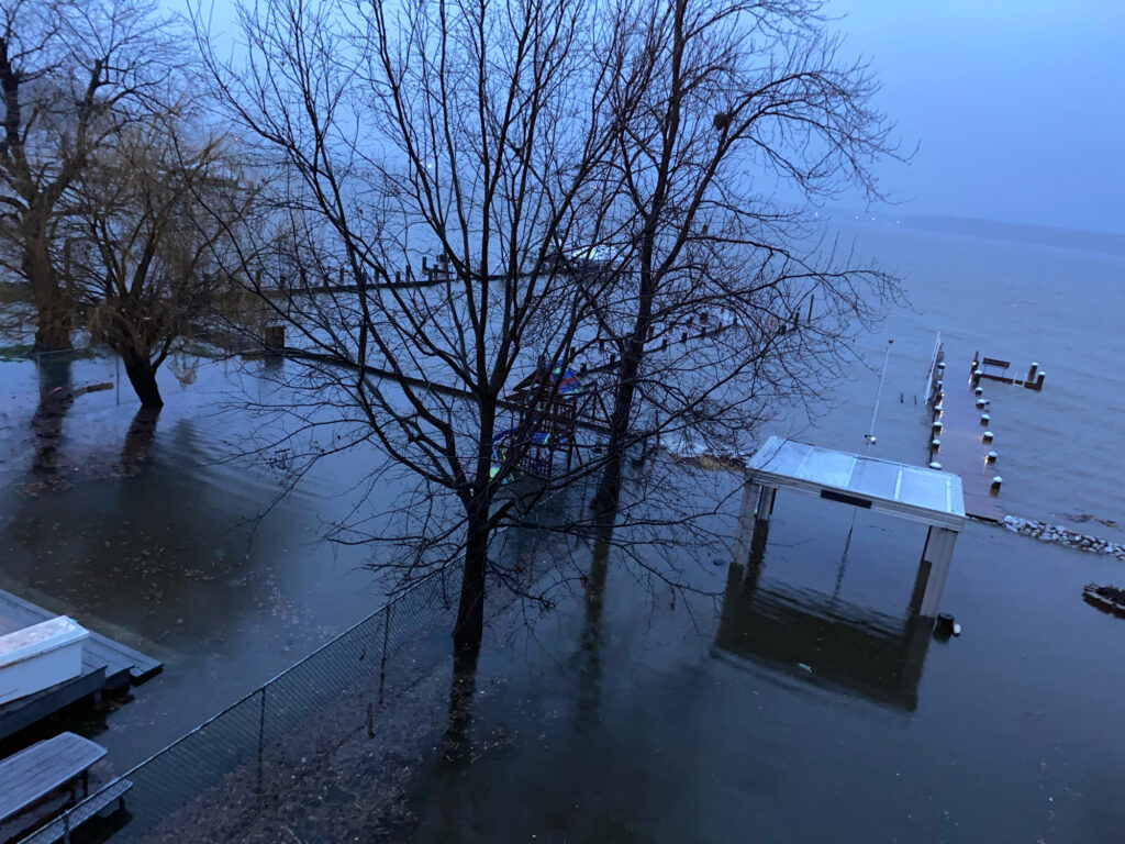 a dock with a boat in the water with trees and a building in the background (MyCoast AI)