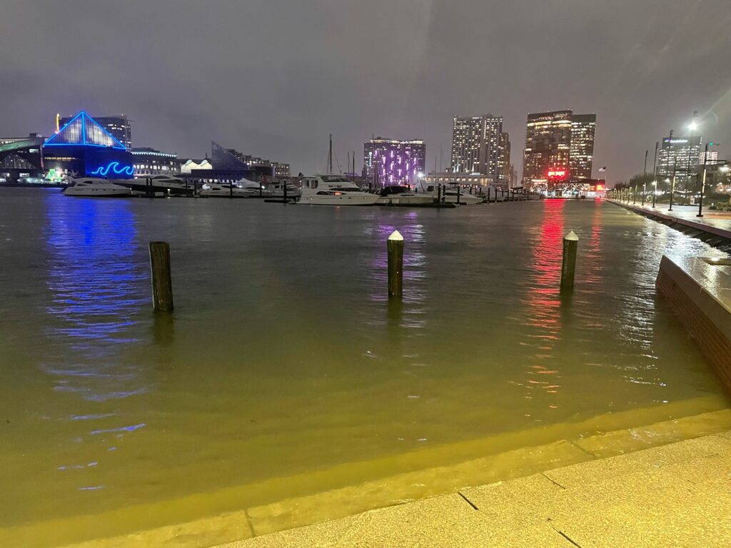 a body of water with buildings in the background (MyCoast AI)