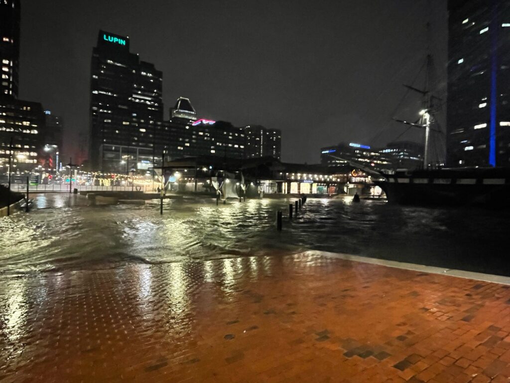 a body of water with buildings around it (MyCoast AI)