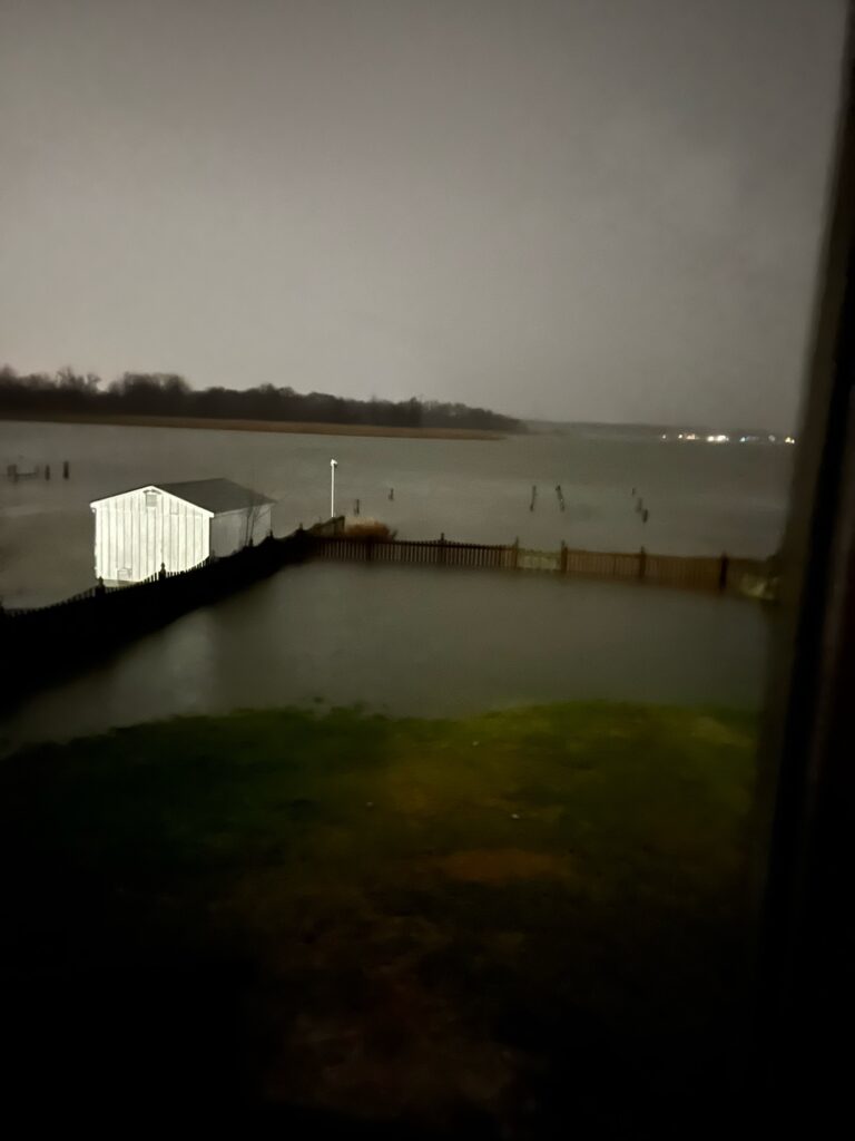 a body of water with a dock and buildings along it (MyCoast AI)