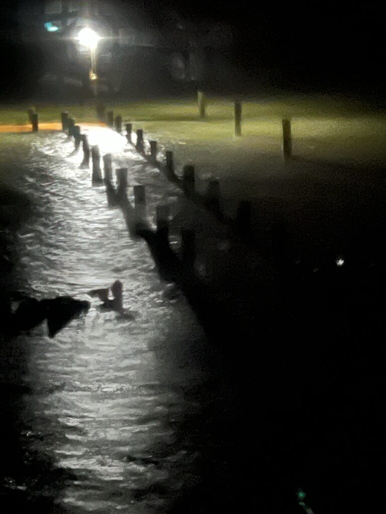 a group of people working on a construction site at night (MyCoast AI)