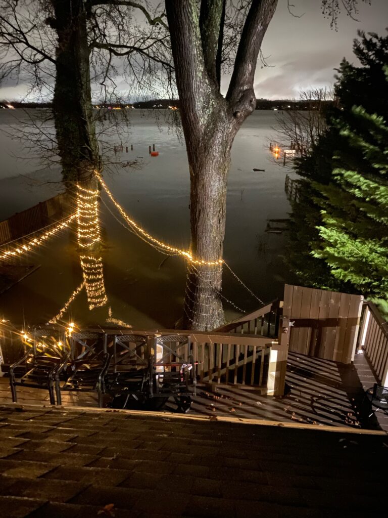 a tree with lights on it by a body of water (MyCoast AI)