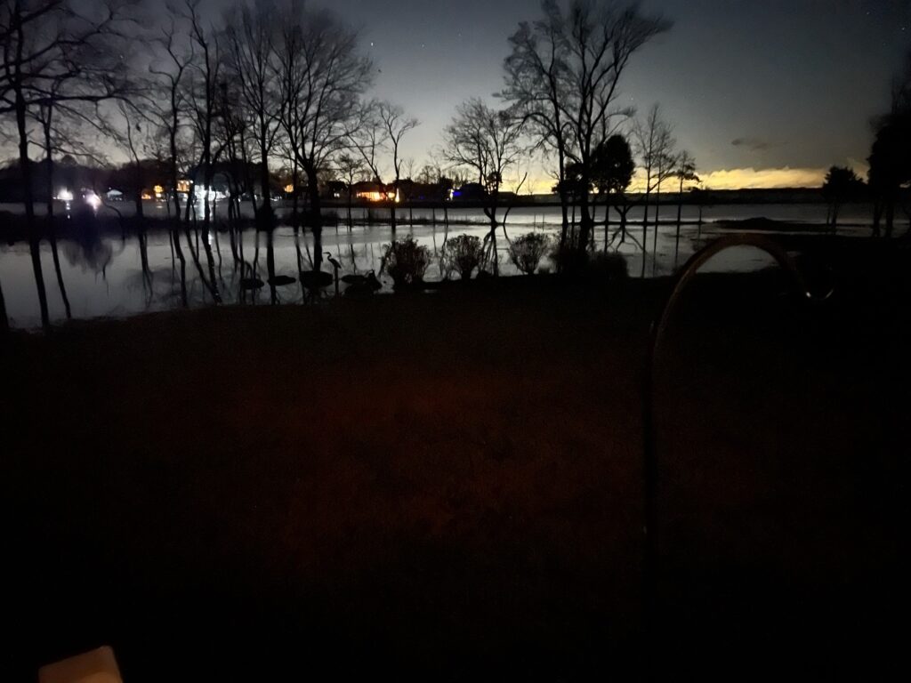 a body of water with trees and a sunset in the background (MyCoast AI)