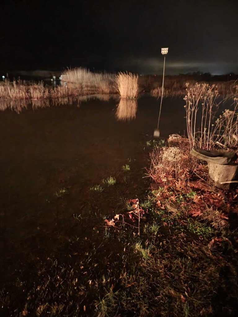 a pond with plants and a light post in the middle (MyCoast AI)