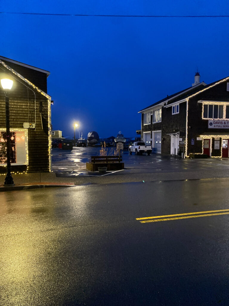 a street with buildings and a street at night (MyCoast AI)