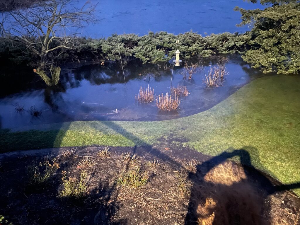 a pond with a small waterfall (MyCoast AI)