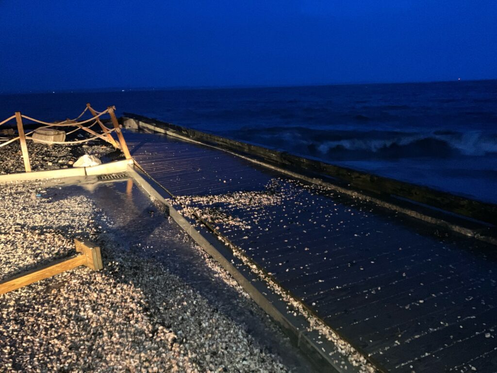 a long dock going into the ocean (MyCoast AI)