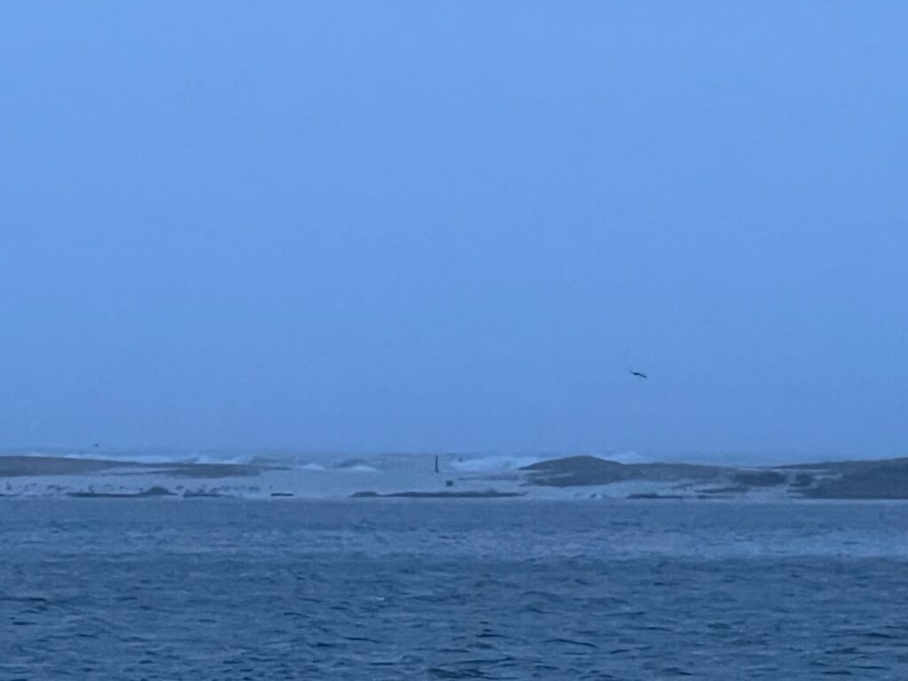 a body of water with ice and snow on it (MyCoast AI)