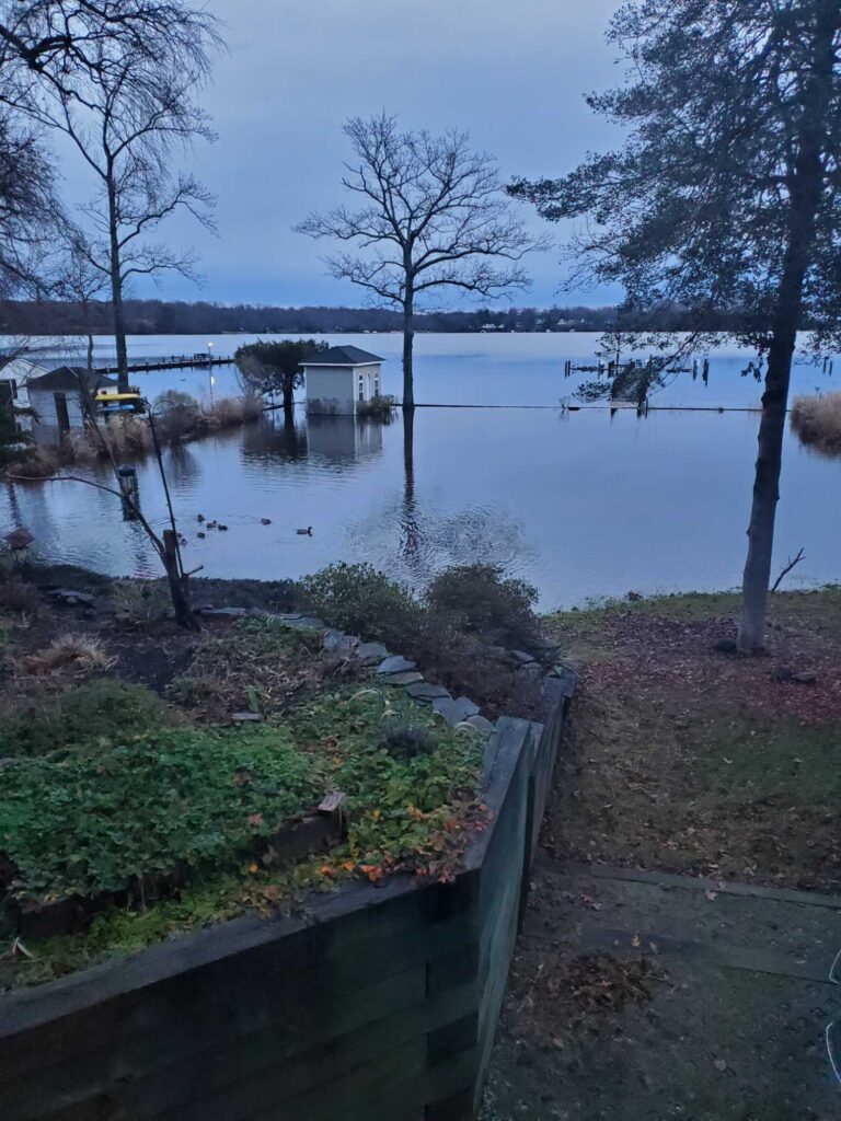 a body of water with trees and grass around it (MyCoast AI)