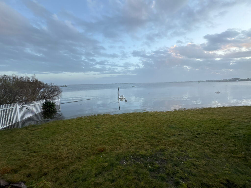 a grassy area next to a body of water (MyCoast AI)