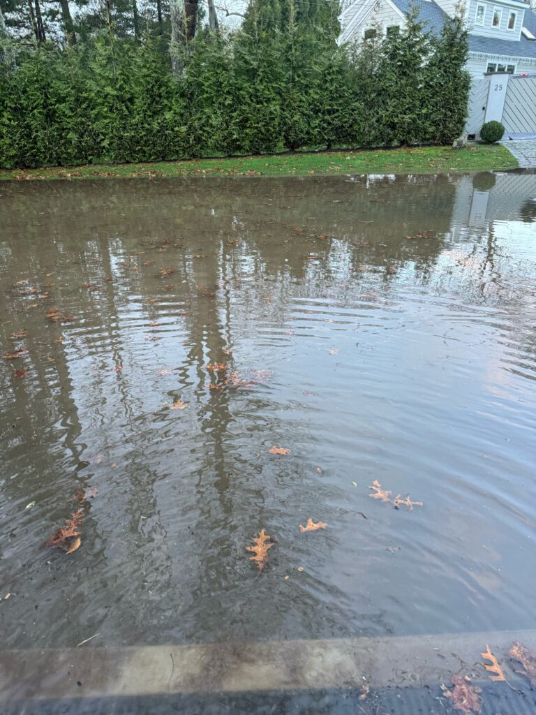 a pond with leaves on the ground (MyCoast AI)