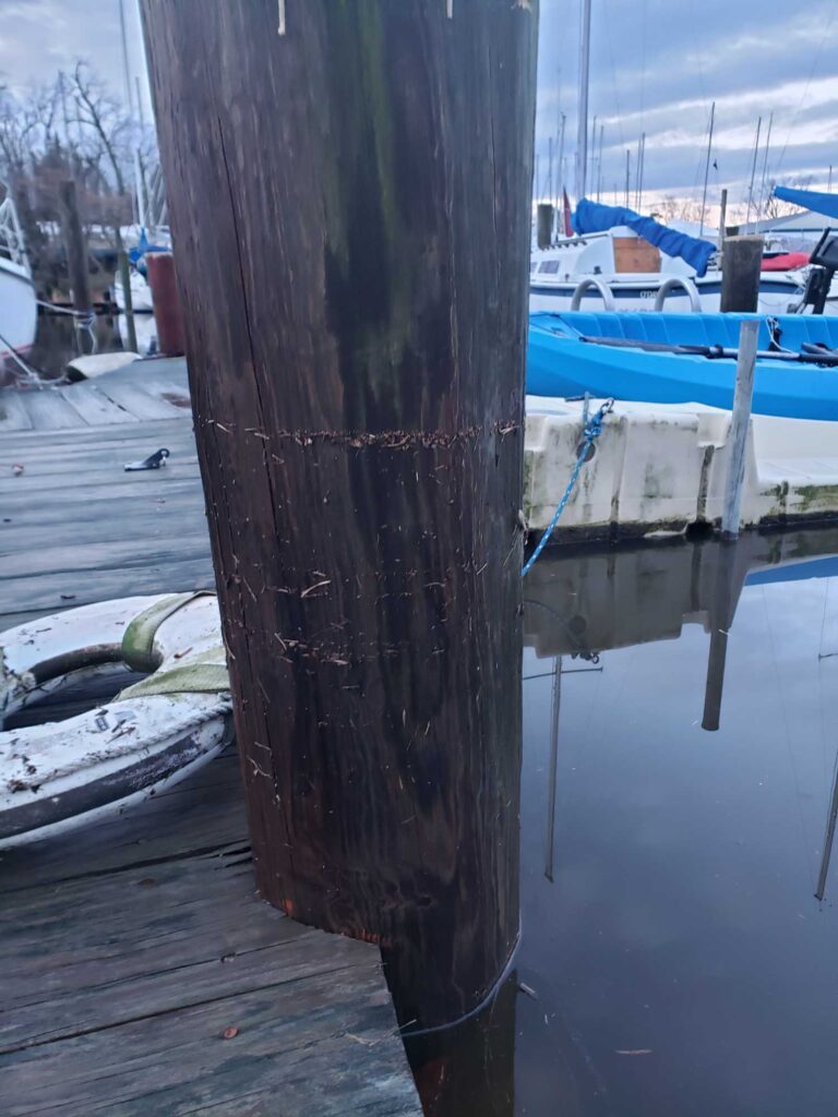 a pole with a rope attached to it (MyCoast AI)