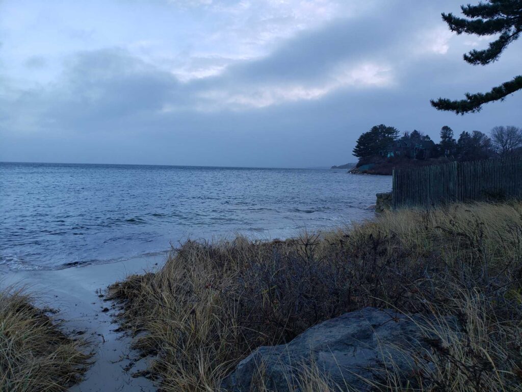 a beach with grass and trees (MyCoast AI)