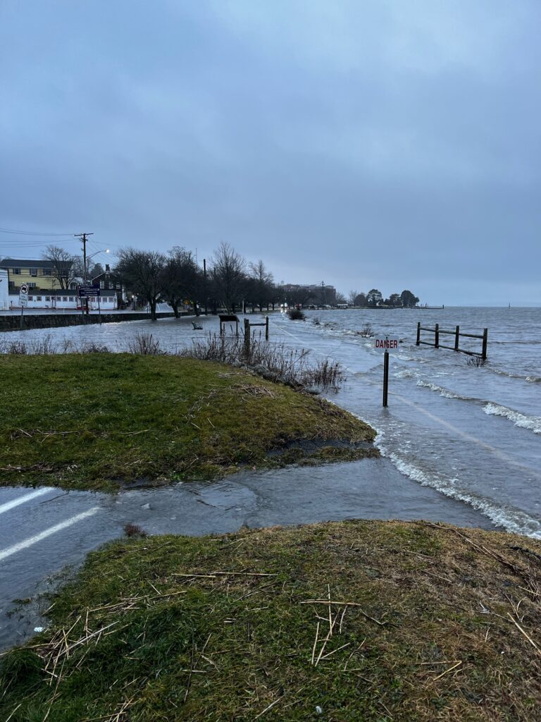 a road with water on the side (MyCoast AI)