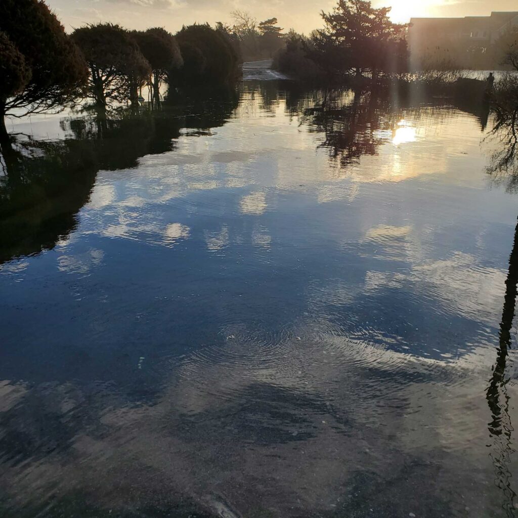 a body of water with trees around it (MyCoast AI)