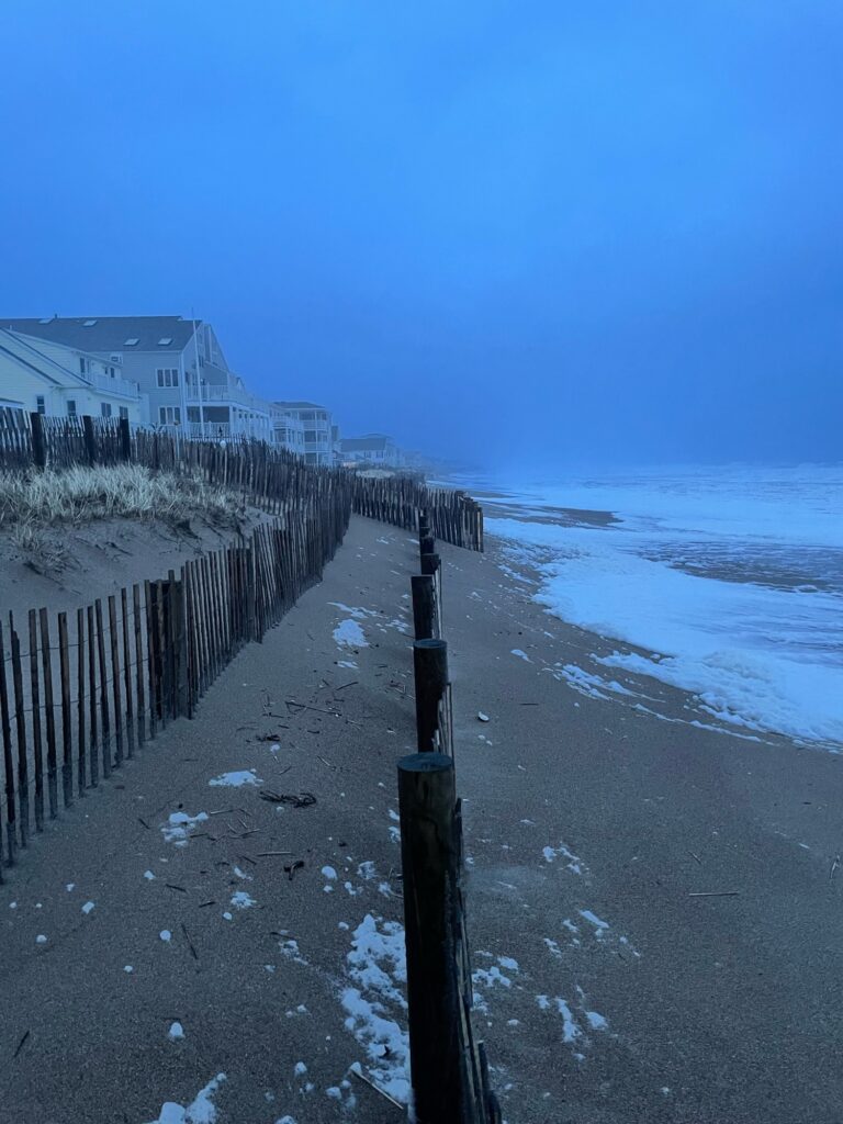 a fence and a beach (MyCoast AI)