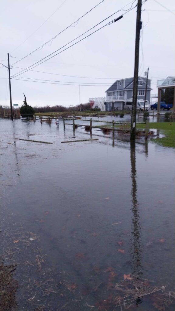 a flooded street with houses (MyCoast AI)