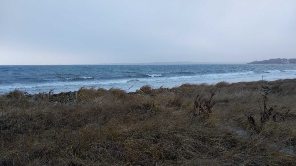 a grassy area with water in the background (MyCoast AI)