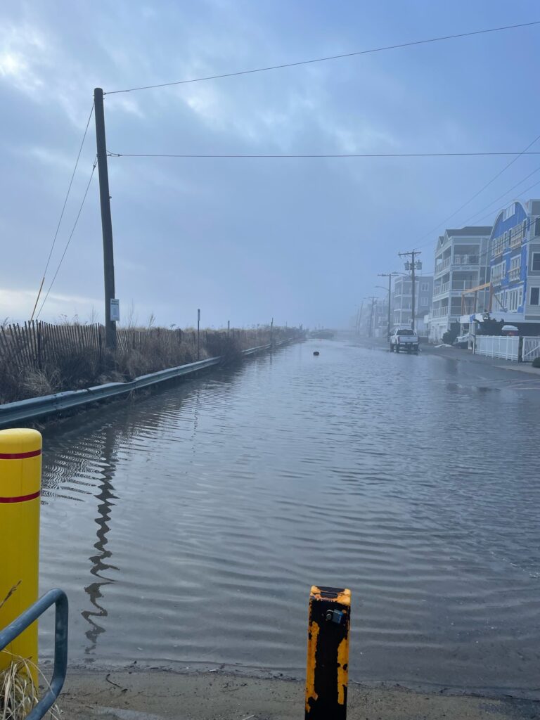 a body of water with a bridge and buildings along it (MyCoast AI)