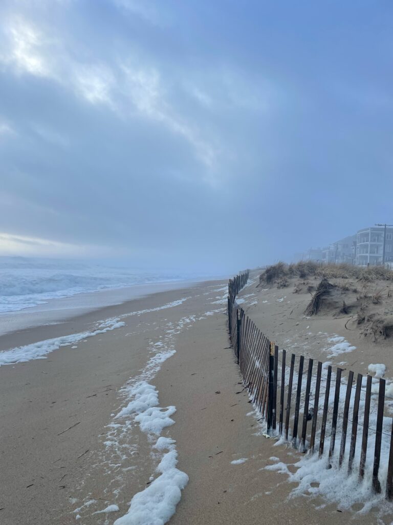 a beach with a fence and a body of water (MyCoast AI)