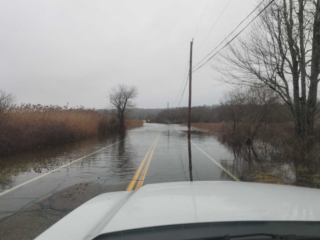 a road with a puddle on the side and trees on the side (MyCoast AI)