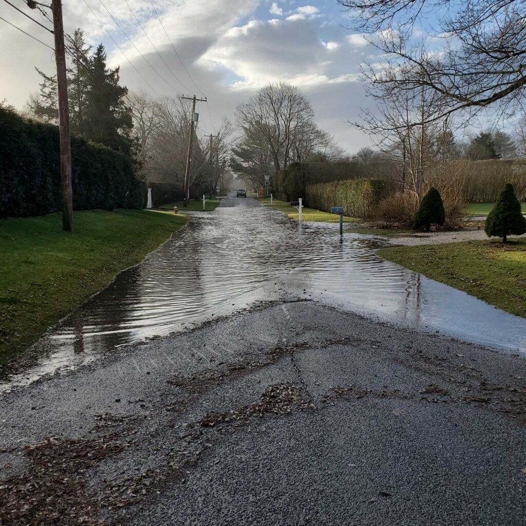 a wet road with trees on either side of it (MyCoast AI)