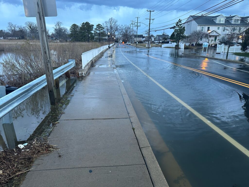 a road with water on the side (MyCoast AI)