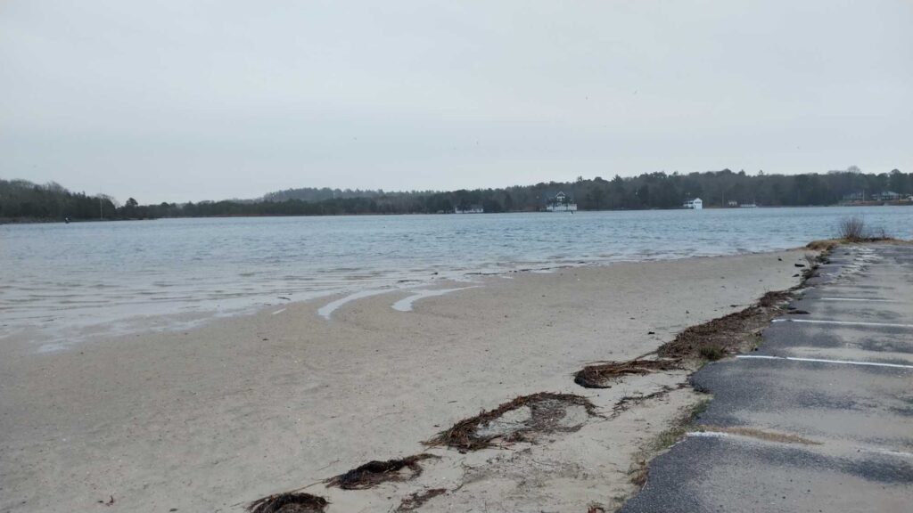a beach with a body of water (MyCoast AI)