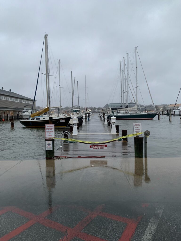 a group of boats docked (MyCoast AI)