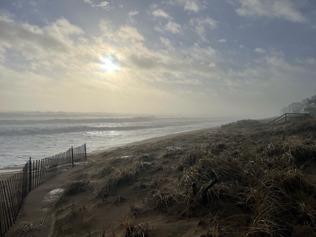 a beach with a fence and a body of water (MyCoast AI)