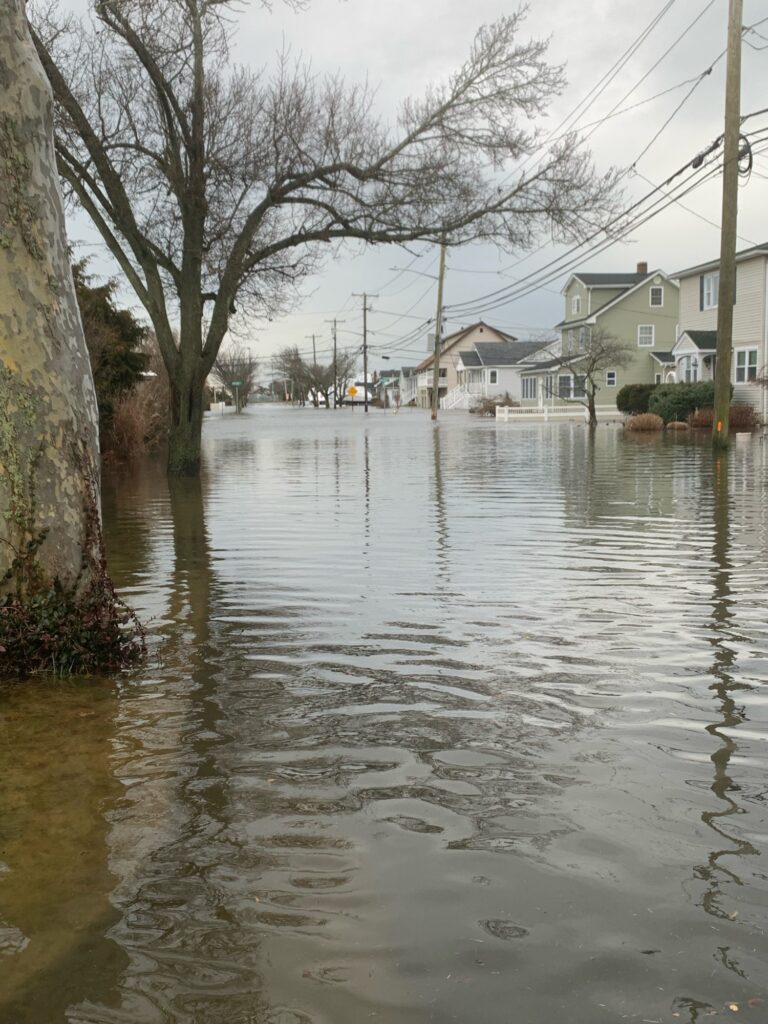 a flooded street with houses and trees (MyCoast AI)