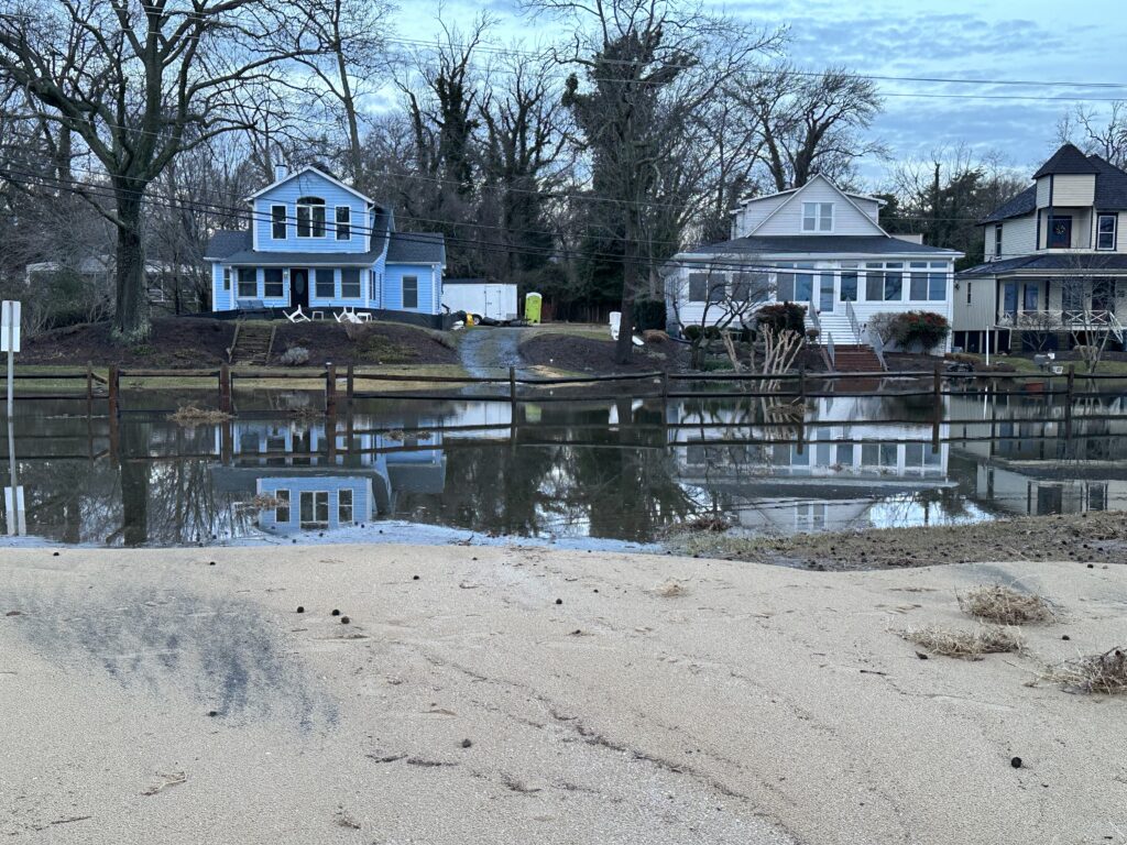 a group of houses next to a body of water (MyCoast AI)