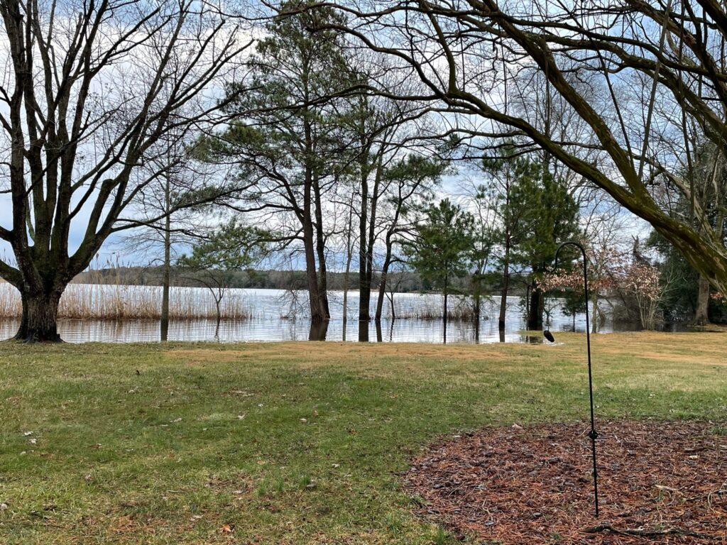 a grassy area with trees and a body of water in the background (MyCoast AI)