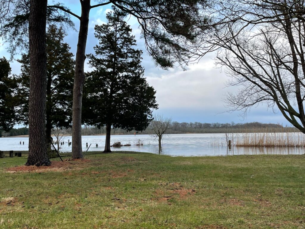 a lake with trees around it (MyCoast AI)