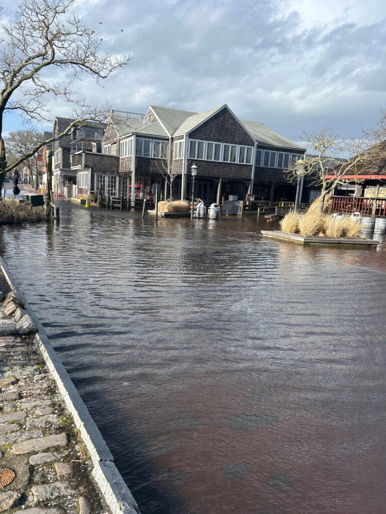 a body of water with buildings along it (MyCoast AI)