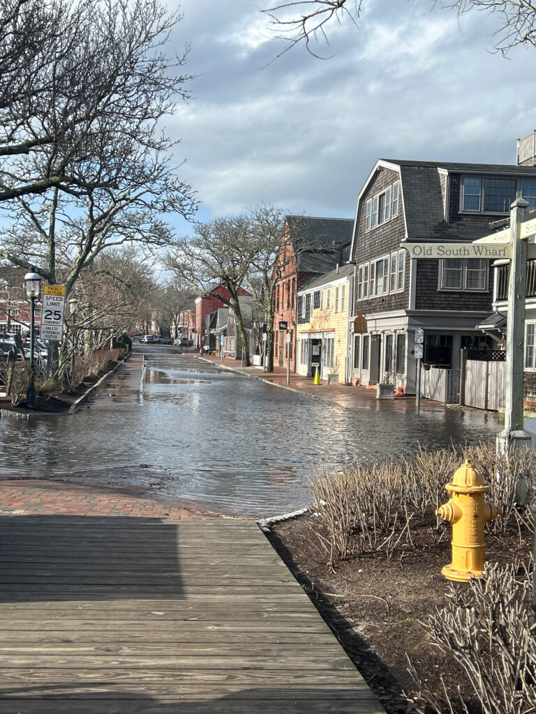 a flooded street with a yellow fire hydrant (MyCoast AI)