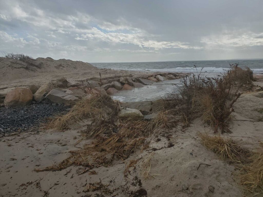 a sandy beach with rocks and plants (MyCoast AI)