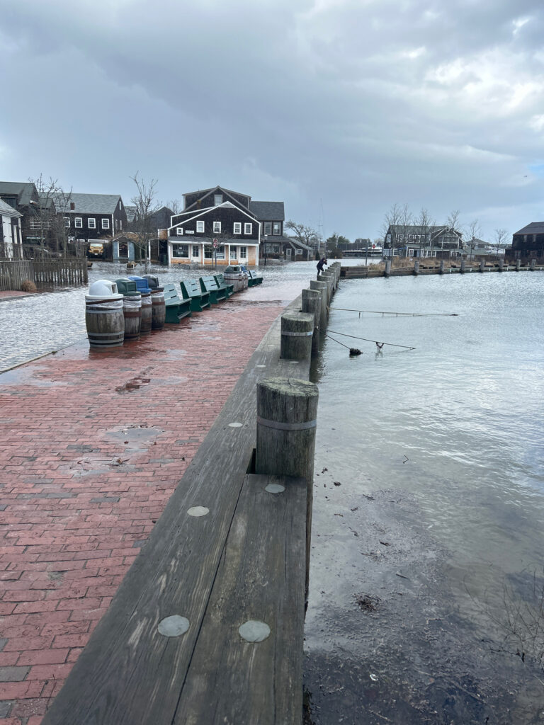 a dock with boats and houses along it (MyCoast AI)