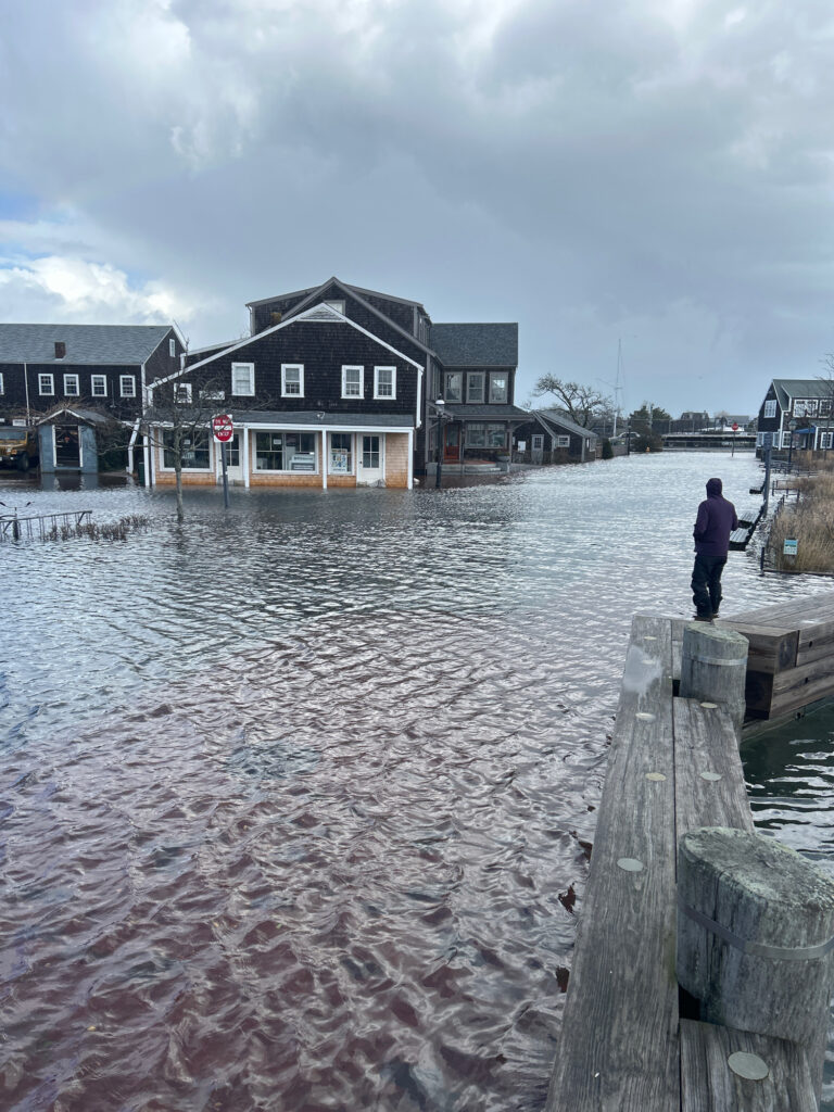 a person standing on a dock next to a body of water (MyCoast AI)