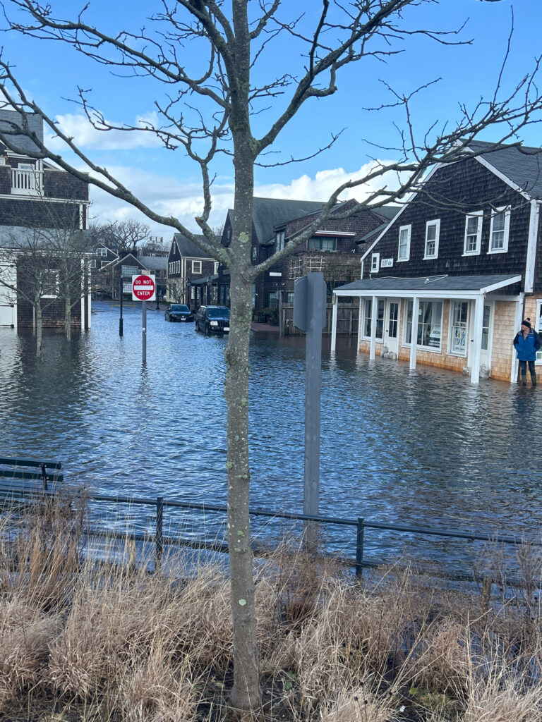 a flooded street with houses and trees (MyCoast AI)
