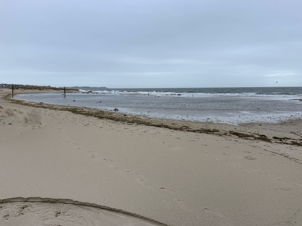 a sandy beach with waves crashing (MyCoast AI)