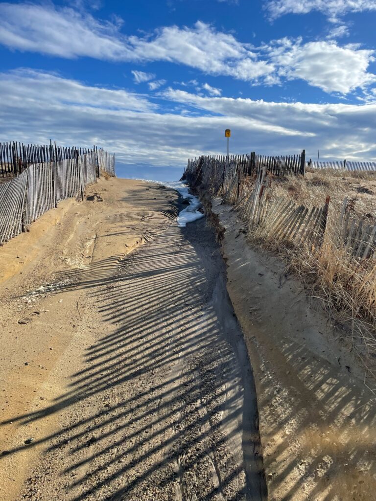 a wooden walkway along a beach (MyCoast AI)