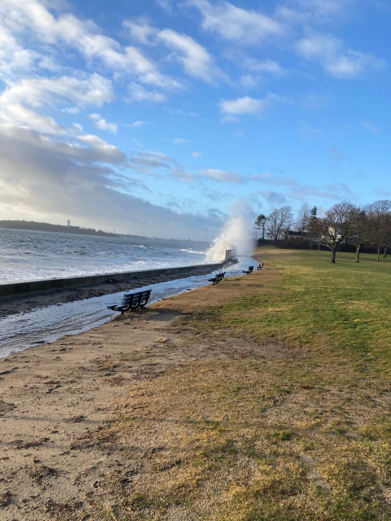 a body of water with a dock and grass by it (MyCoast AI)