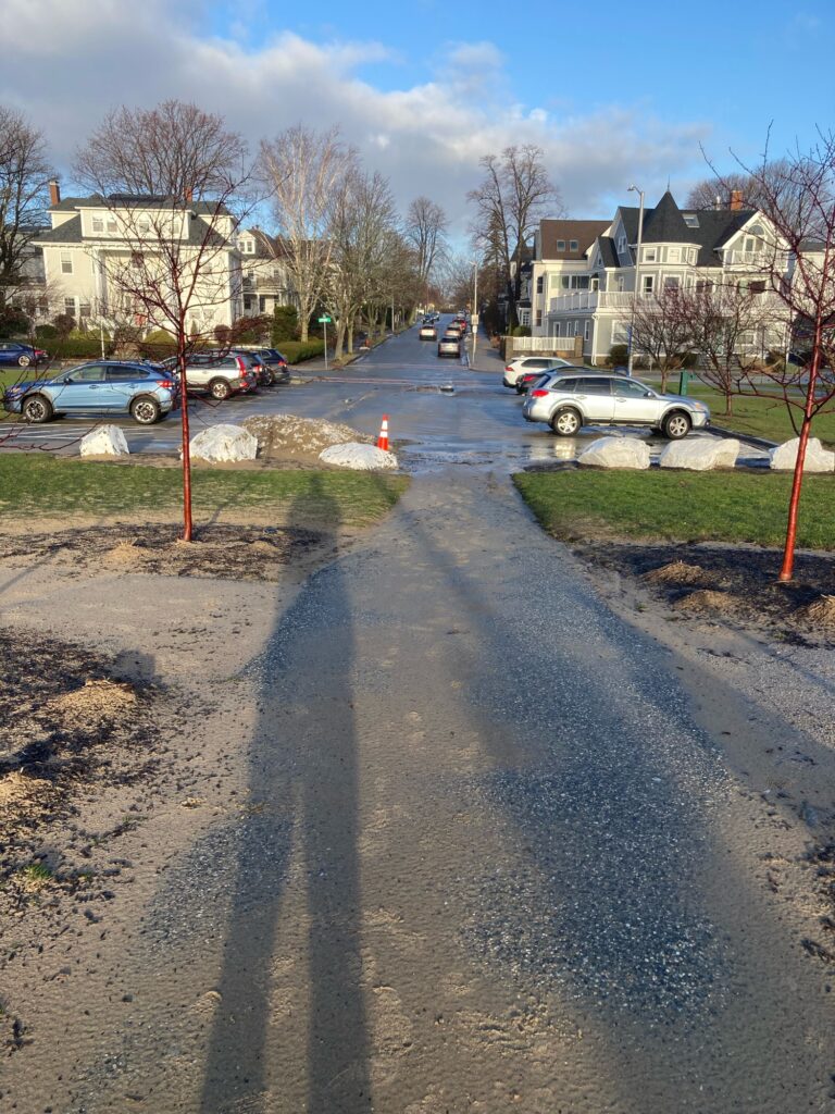 a road with cars parked along it (MyCoast AI)